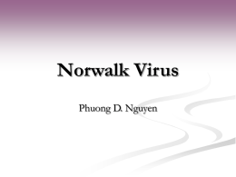 Norwalk Virus - University of Florida
