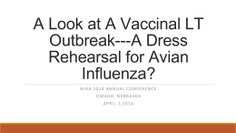 A Look at A Vaccinal LT Outbreak--