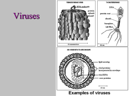 Bacteria/Viruses and Disease - UCO