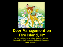 Deer Management on Fire Island, NY