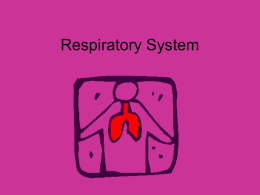 Respiratory System PPT - AZ HOSA | Arizona HOSA, Future