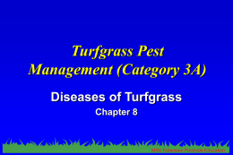 Turfgrass Pest Management (category 3a)