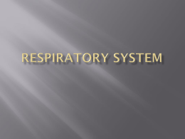 Respiratory System - Alamance