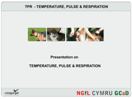 Temperature, Pulse & Respiration