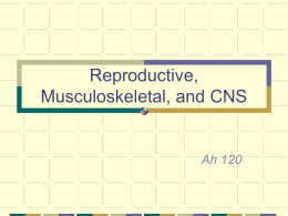 Reproductive, Musculoskeletal, and CNS