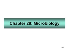 Chapter 28: Microbiology - Johnston Community College