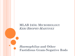 Haemophilus and other Fastidious Gram