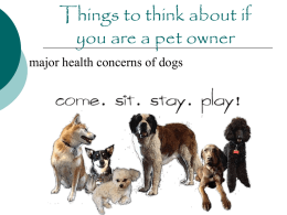 Things to think about if you are a pet owner