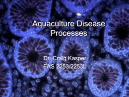 Aquaculture Disease Processes