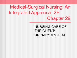 Medical-Surgical Nursing: An Integrated Approach, 2E Chapter 29