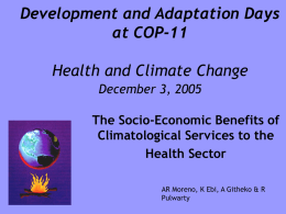 Development and Adaptation Days at COP