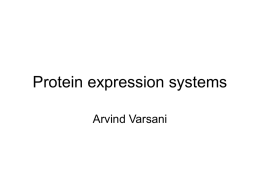 Recombinant Expression Systems