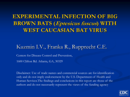 WITH WEST CAUCASIAN BAT VIRUS