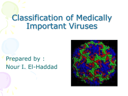 Classification of Medically Important Viruses