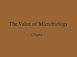 The Value of Microbiology