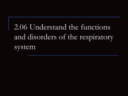 2.03 Understand the respiratory system