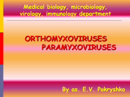 Orthomyxovirus_Paramyxoviru Family