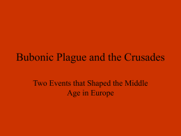 bubonic plague slide show