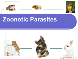 Zoonotic Parasites - PEER