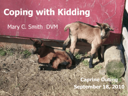 Coping With Kidding_pt1
