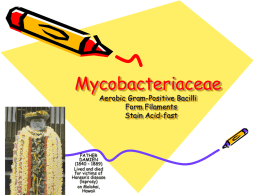 16Mycobacteriaceae2012 - Cal State LA