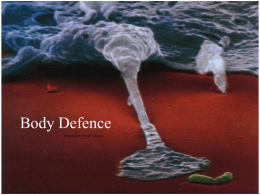Body Defence