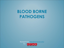 Blood Borne Pathogens PowerPoint