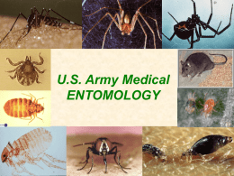 Army Entomology - Armed Forces Pest Management Board