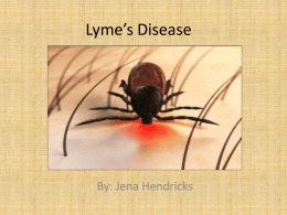 Lyme`s Disease
