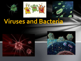 Viruses and Bacteria - Madison County Schools