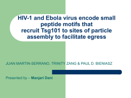 HIV-1 and Ebola virus encode small peptide motifs that recruit