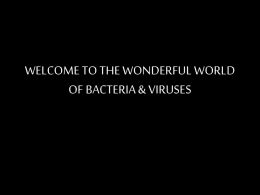 welcome to the wonderful world of bacteria & viruses