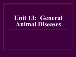 Unit 13: General Animal Diseases