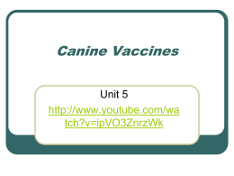 Canine Vaccines - Locust Trace Veterinary Assistant Program