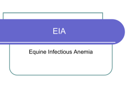 EIA=Equine Infectious Anemia