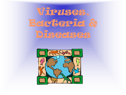 Virus and bacteria ppt