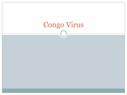 Congo Virus