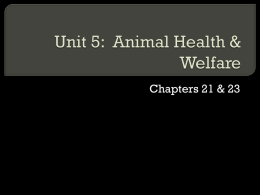 Unit 5: Animal Health & Welfare