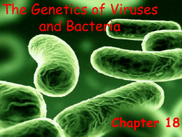 Virus and Bacteria Notes