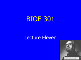 11Lecture2008