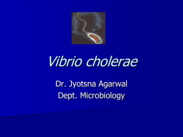 Vibrio Cholera