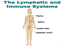 Full chapter notes - lymph system