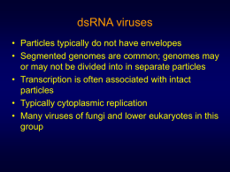 dsRNA viruses