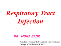 L6-Respiratory Tract..