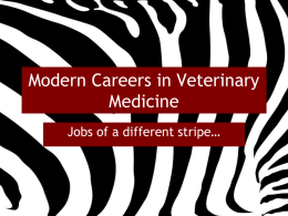 Modern Careers in Veterinary Medicine