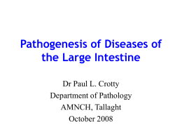 Pathogenesis of Disease of the Large Intestine