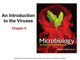 virus - Microbiology