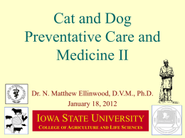 Canine Breeding Management - Iowa State University: Animal