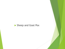 Sheep and Goat Pox