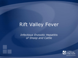 Rift Valley Fever - The Center for Food Security and Public Health